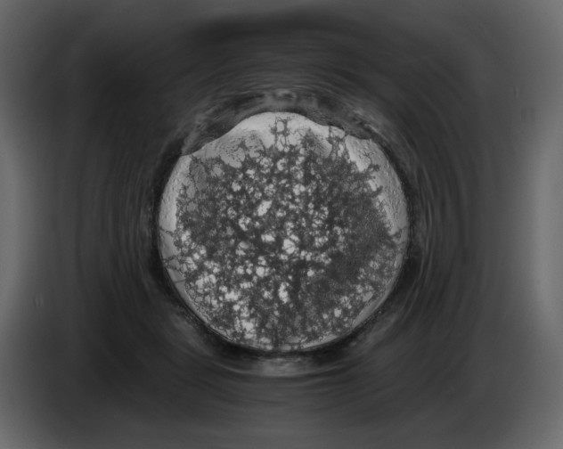 X0000084530461200703231656
