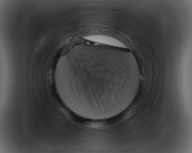 X0000084530462200703231656