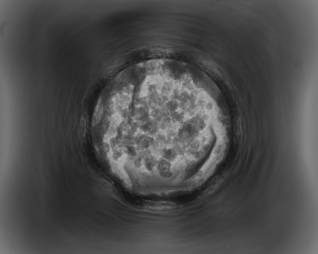 X0000084530463200703231656