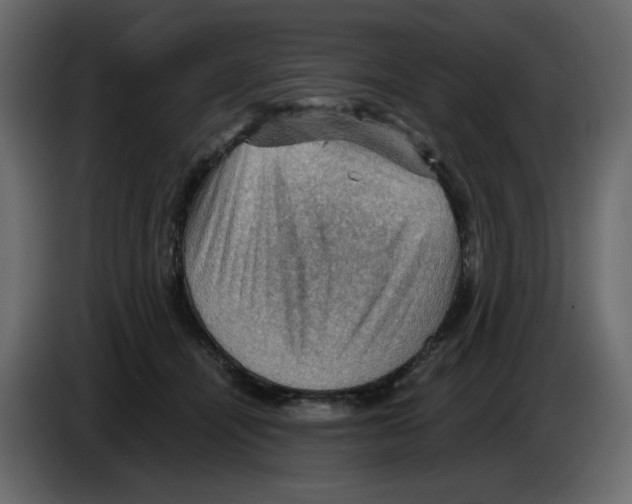 X0000084530464200703231656