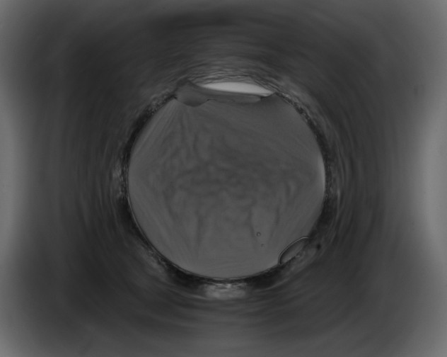 X0000084530465200703231656