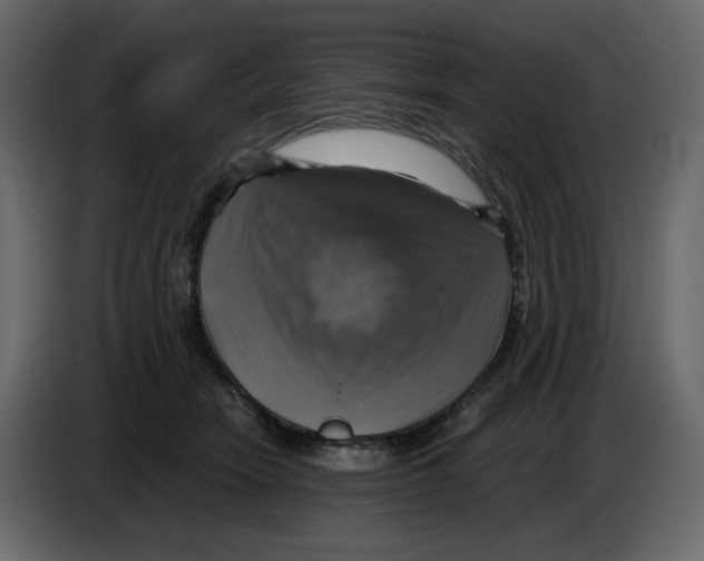 X0000084530466200703231656