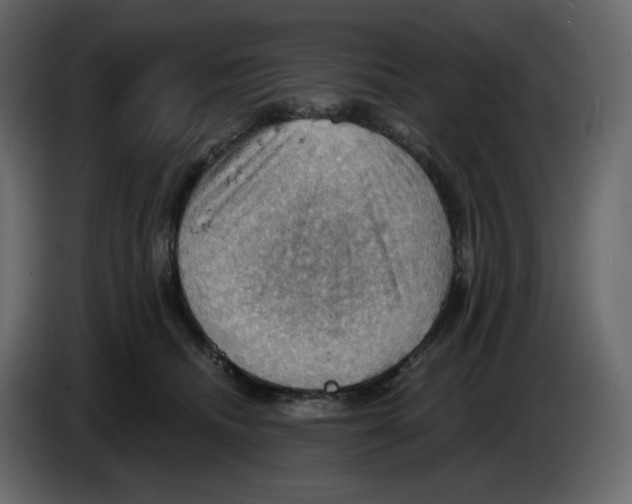 X0000084530468200703231656
