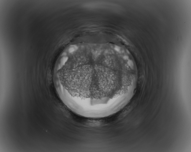 X0000084530469200703231656