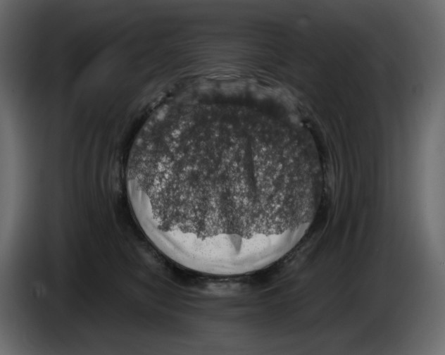 X0000084530470200703231656