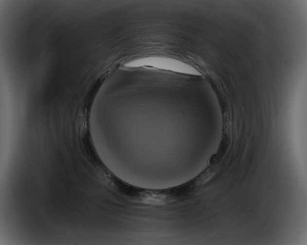 X0000084530471200703231656