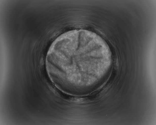 X0000084530472200703231656