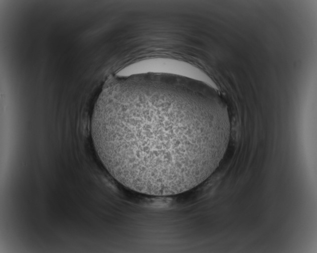 X0000084530474200703231656