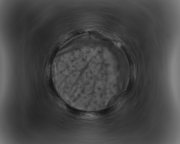 X0000084530475200703231656
