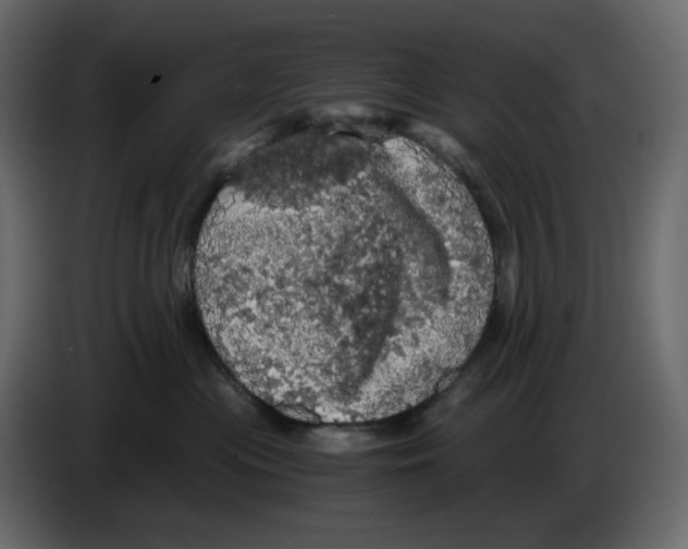 X0000084530477200703231656