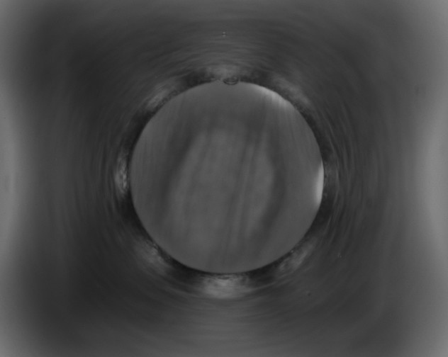 X0000084530479200703231656