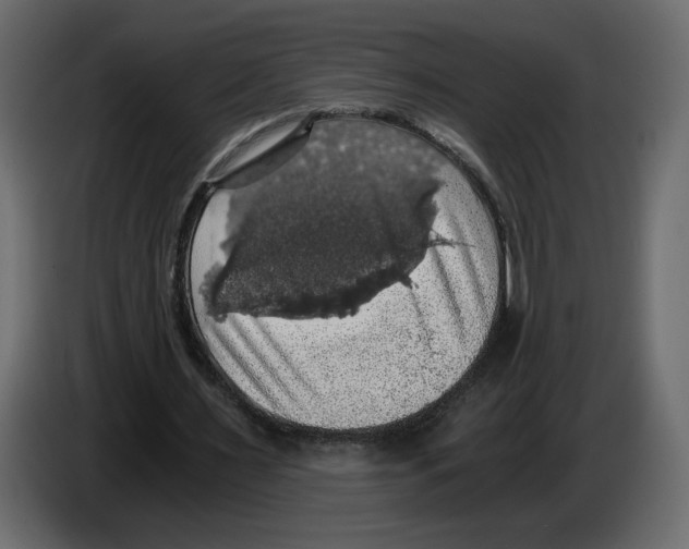 X0000084530483200703231656