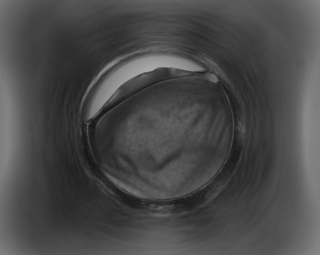 X0000084530484200703231656