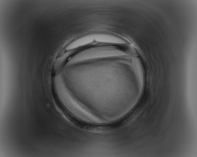 X0000084530485200703231656