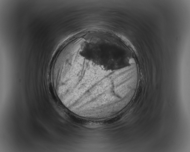 X0000084530487200703231656