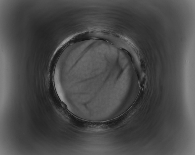 X0000084530488200703231656