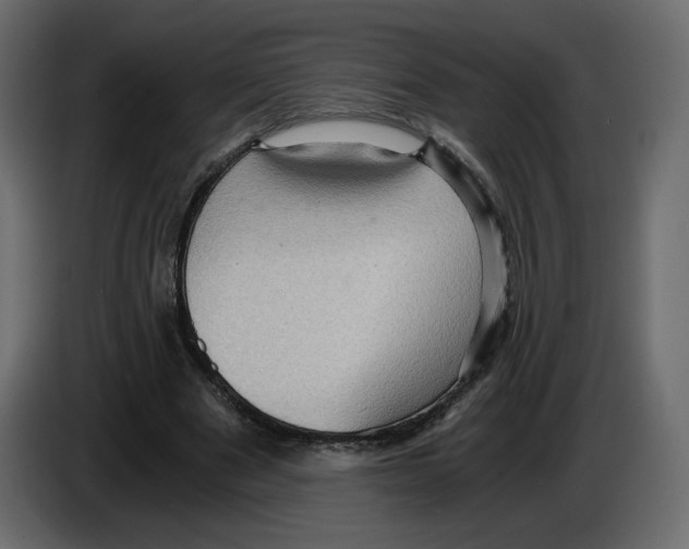 X0000084530489200703231656