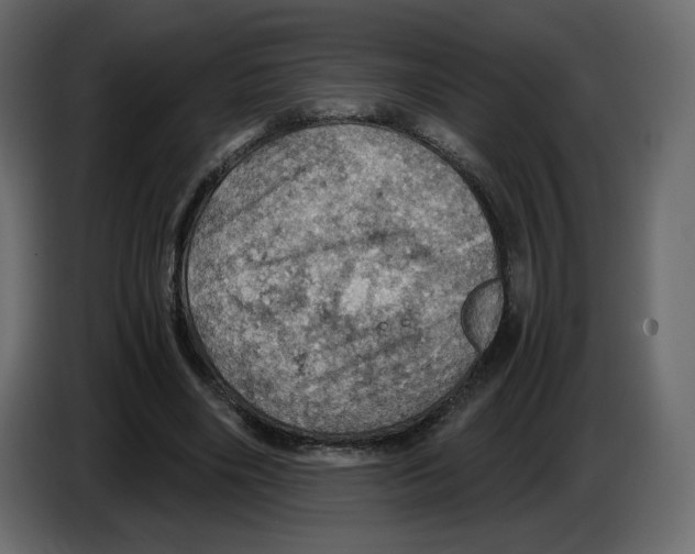 X0000084530490200703231655