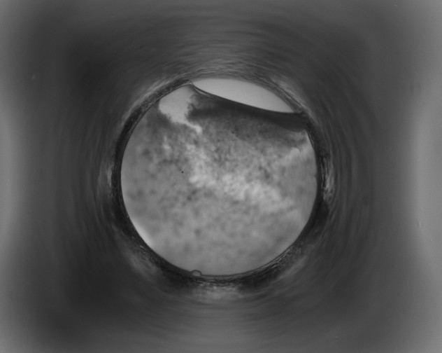 X0000084530491200703231655