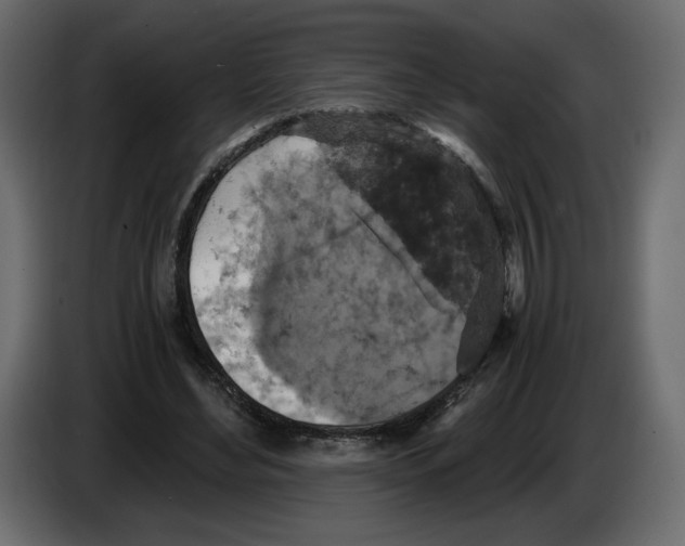 X0000084530492200703231655