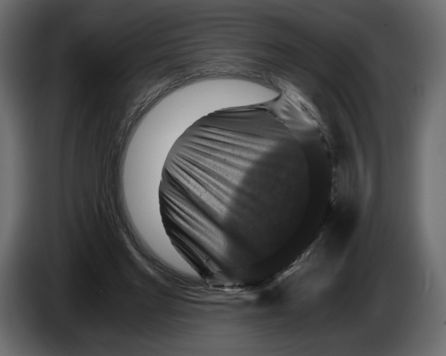 X0000084530493200703231655