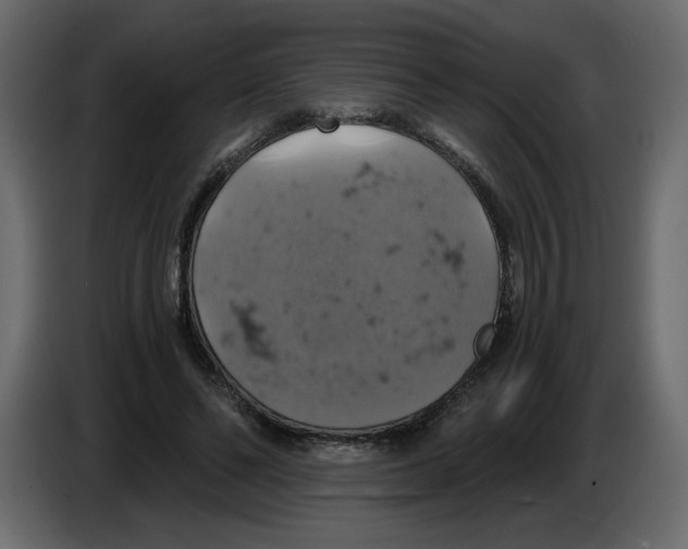 X0000084530494200703231655