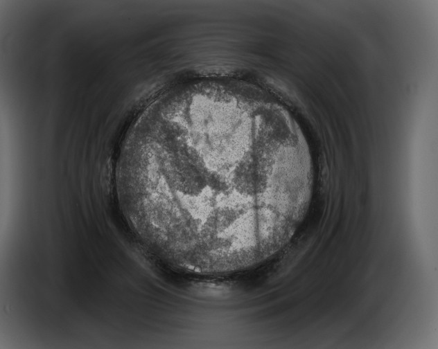 X0000084530498200703231655