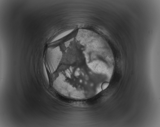 X0000084530499200703231655