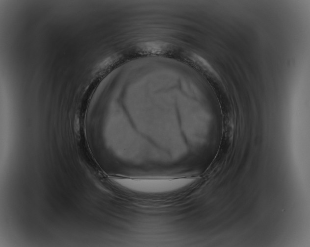 X0000084530500200703231655