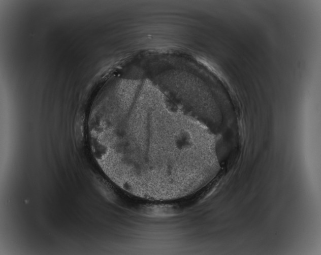 X0000084530501200703231655