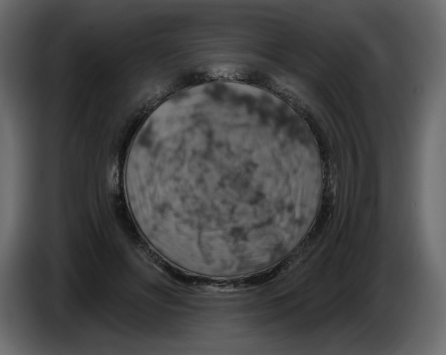 X0000084530502200703231655