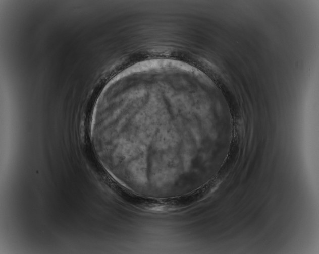 X0000084530504200703231655