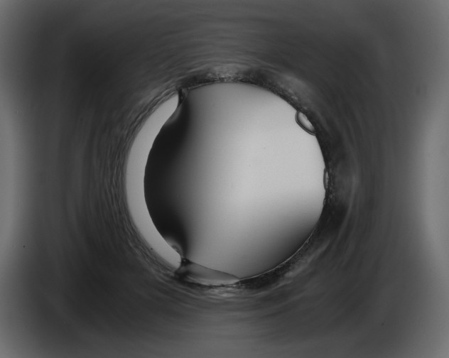 X0000084530505200703231655