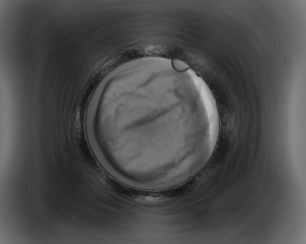 X0000084530506200703231655