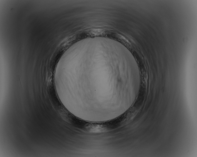 X0000084530507200703231655