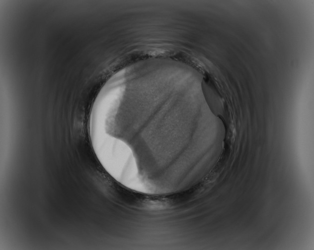 X0000084530510200703231655