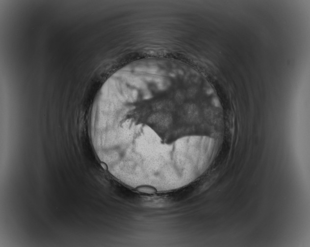 X0000084530511200703231655