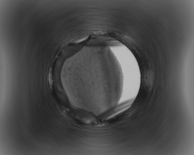 X0000084530512200703231655