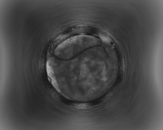 X0000084530513200703231655