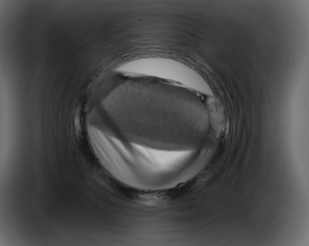 X0000084530516200703231655