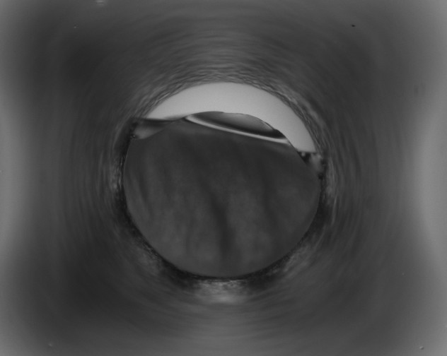 X0000084530517200703231655