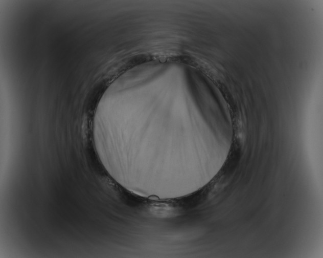 X0000084530519200703231655