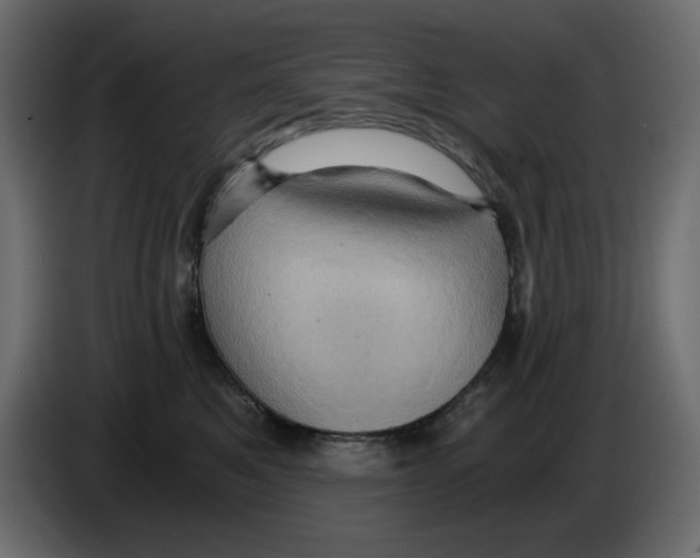 X0000084530521200703231655