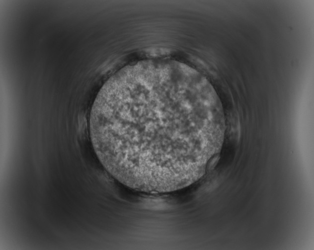 X0000084530523200703231655