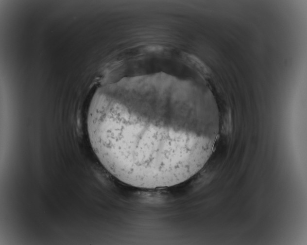 X0000084530524200703231655