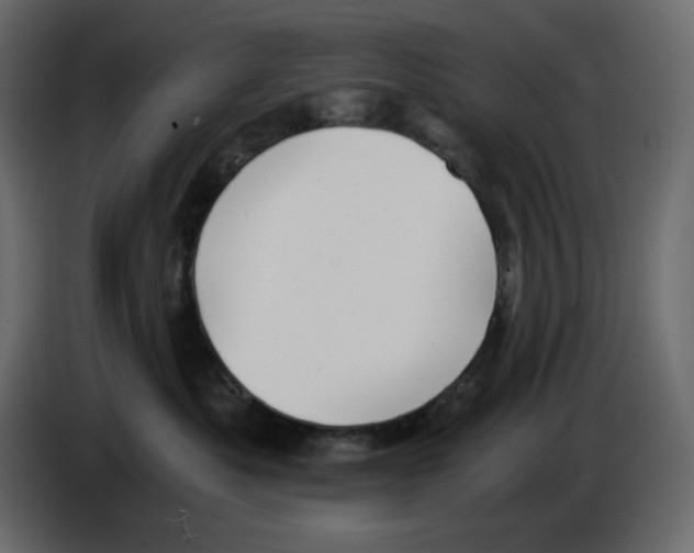 X0000084530525200703231655