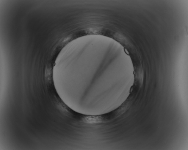X0000084530526200703231655