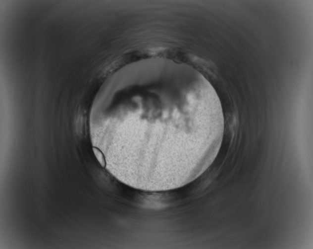 X0000084530527200703231655