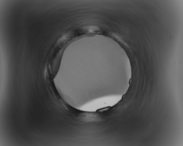 X0000084530528200703231655