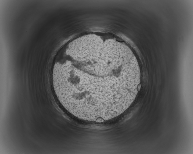 X0000084530529200703231654
